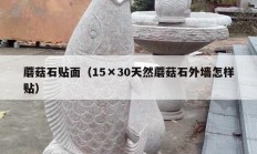 蘑菇石貼面（15×30天然蘑菇石外墻怎樣貼）