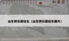 山東銹石蘑菇石（山東銹石蘑菇石圖片）