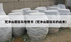 梵凈山蘑菇石地理書(shū)（梵凈山蘑菇石的由來(lái)）