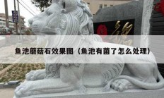 魚(yú)池蘑菇石效果圖（魚(yú)池有菌了怎么處理）