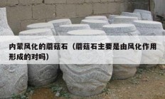 內(nèi)蒙風化的蘑菇石（蘑菇石主要是由風化作用形成的對嗎）