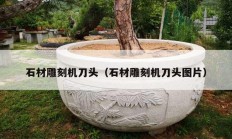 石材雕刻機刀頭（石材雕刻機刀頭圖片）