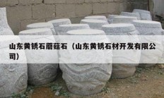 山東黃銹石蘑菇石（山東黃銹石材開(kāi)發(fā)有限公司）