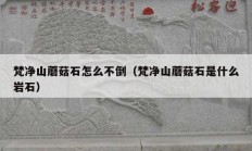 梵凈山蘑菇石怎么不倒（梵凈山蘑菇石是什么巖石）