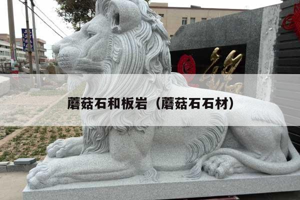 蘑菇石和板巖(蘑菇石石材)