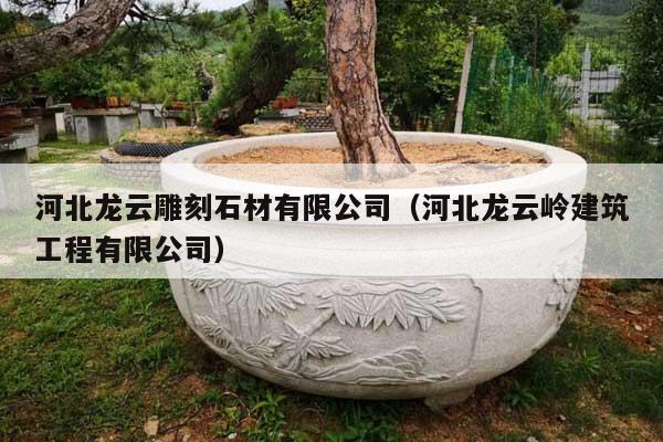 河北龍?jiān)频窨淌挠邢薰荆ê颖饼堅(jiān)茙X建筑工程有限公司)