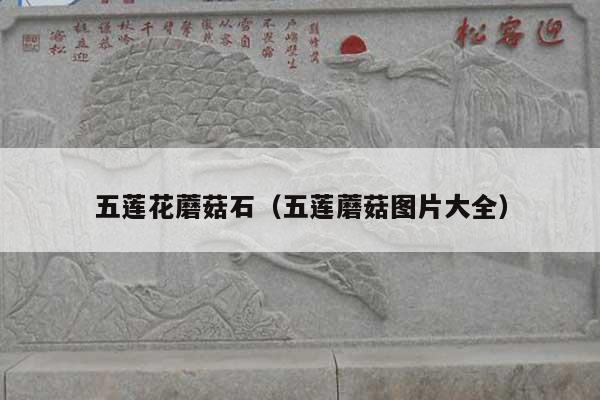 五蓮花蘑菇石(五蓮蘑菇圖片大全)