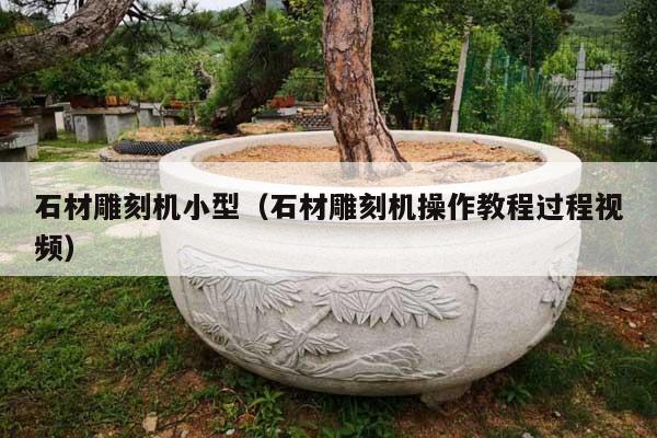 石材雕刻機小型(石材雕刻機操作教程過程視頻)