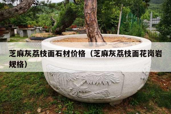 芝麻灰荔枝面石材價(jià)格(芝麻灰荔枝面花崗巖規(guī)格)