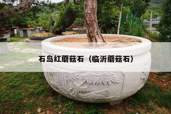 石島紅蘑菇石(臨沂蘑菇石)