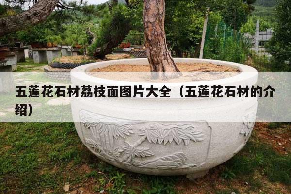 五蓮花石材荔枝面圖片大全(五蓮花石材的介紹)