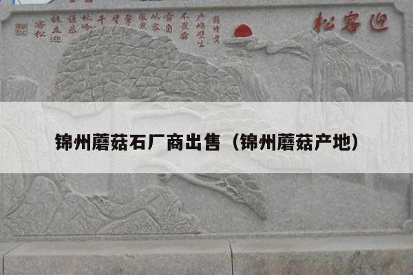 錦州蘑菇石廠商出售(錦州蘑菇產(chǎn)地)