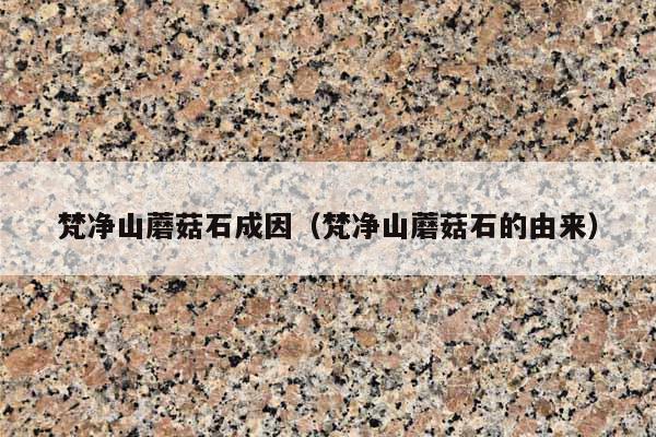 梵凈山蘑菇石成因(梵凈山蘑菇石的由來)