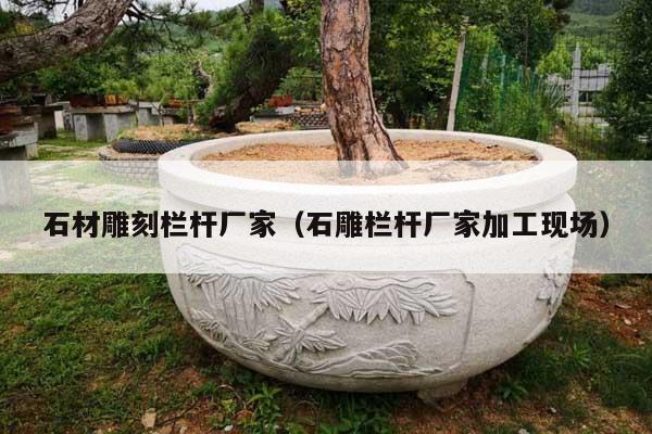 石材雕刻欄桿廠家(石雕欄桿廠家加工現(xiàn)場(chǎng))