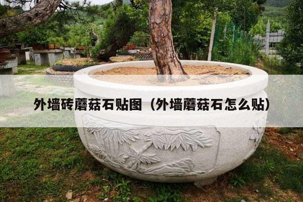 外墻磚蘑菇石貼圖(外墻蘑菇石怎么貼)