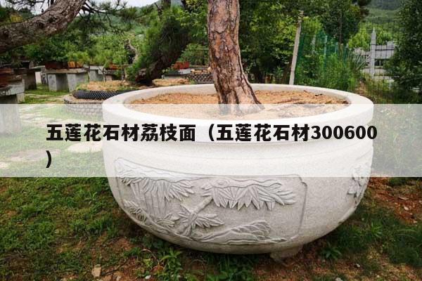 五蓮花石材荔枝面(五蓮花石材300600)