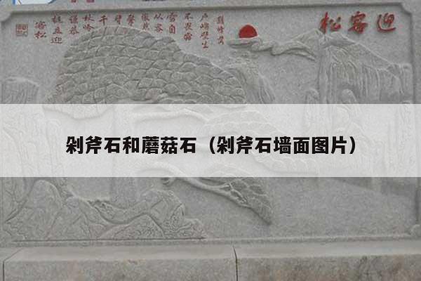 剁斧石和蘑菇石(剁斧石墻面圖片)