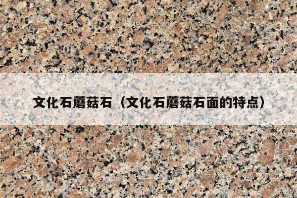 文化石蘑菇石(文化石蘑菇石面的特點(diǎn))