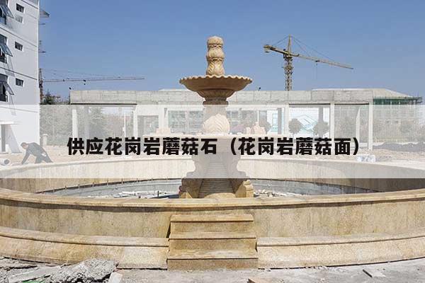 供應(yīng)花崗巖蘑菇石(花崗巖蘑菇面)