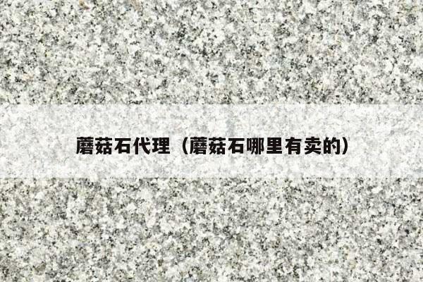 蘑菇石代理(蘑菇石哪里有賣的)
