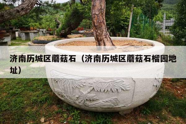 濟南歷城區(qū)蘑菇石(濟南歷城區(qū)蘑菇石榴園地址)