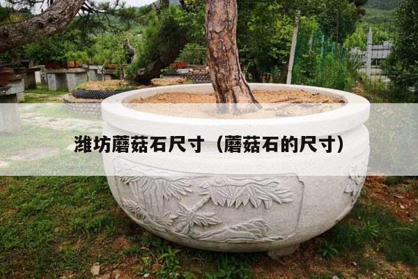 濰坊蘑菇石尺寸(蘑菇石的尺寸)