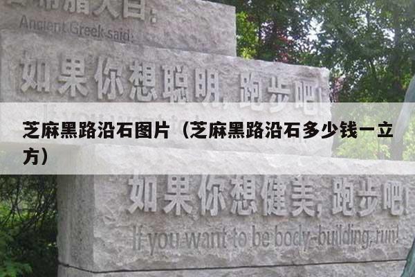 芝麻黑路沿石圖片(芝麻黑路沿石多少錢一立方)