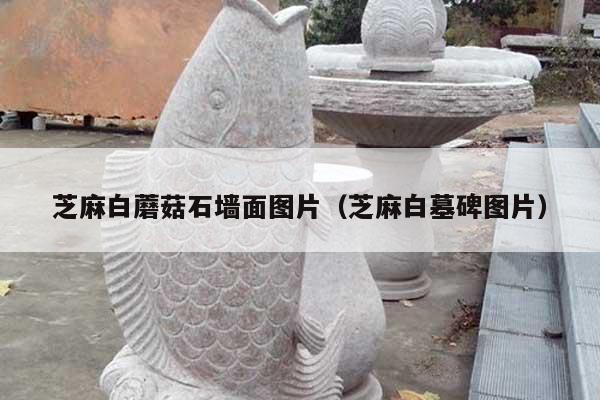 芝麻白蘑菇石墻面圖片(芝麻白墓碑圖片)