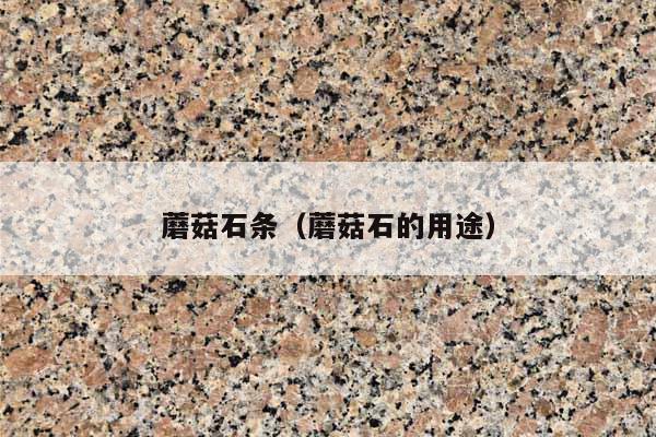 蘑菇石條(蘑菇石的用途)