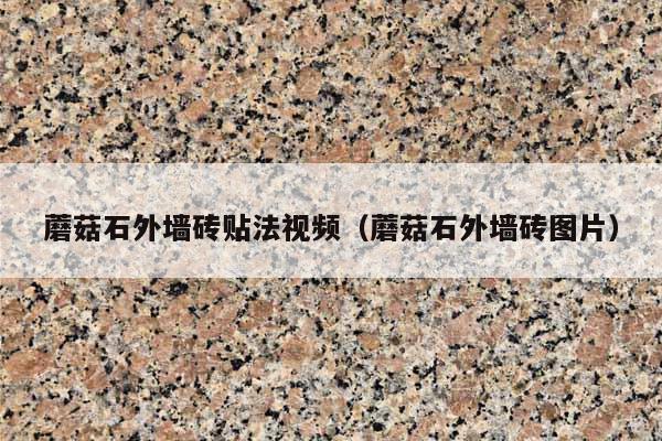 蘑菇石外墻磚貼法視頻(蘑菇石外墻磚圖片)