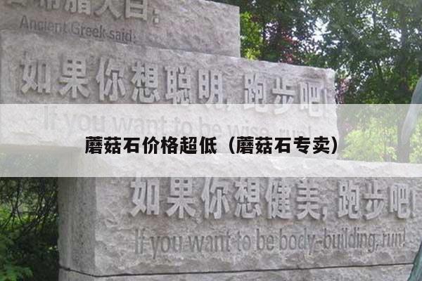 蘑菇石價格超低(蘑菇石專賣)