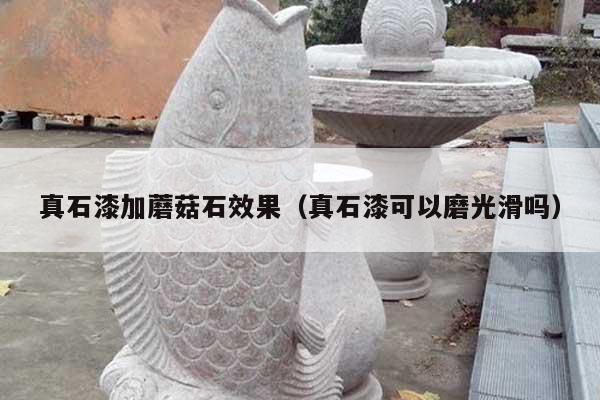 真石漆加蘑菇石效果(真石漆可以磨光滑嗎)