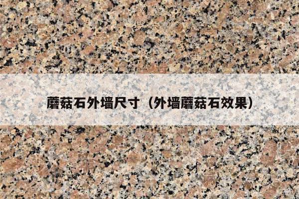 蘑菇石外墻尺寸(外墻蘑菇石效果)