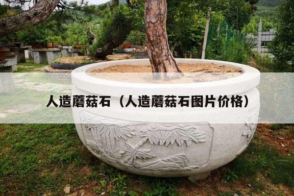 人造蘑菇石(人造蘑菇石圖片價(jià)格)