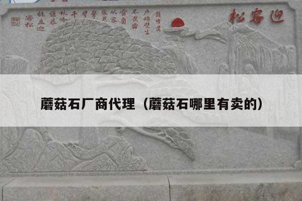 蘑菇石廠商代理(蘑菇石哪里有賣的)
